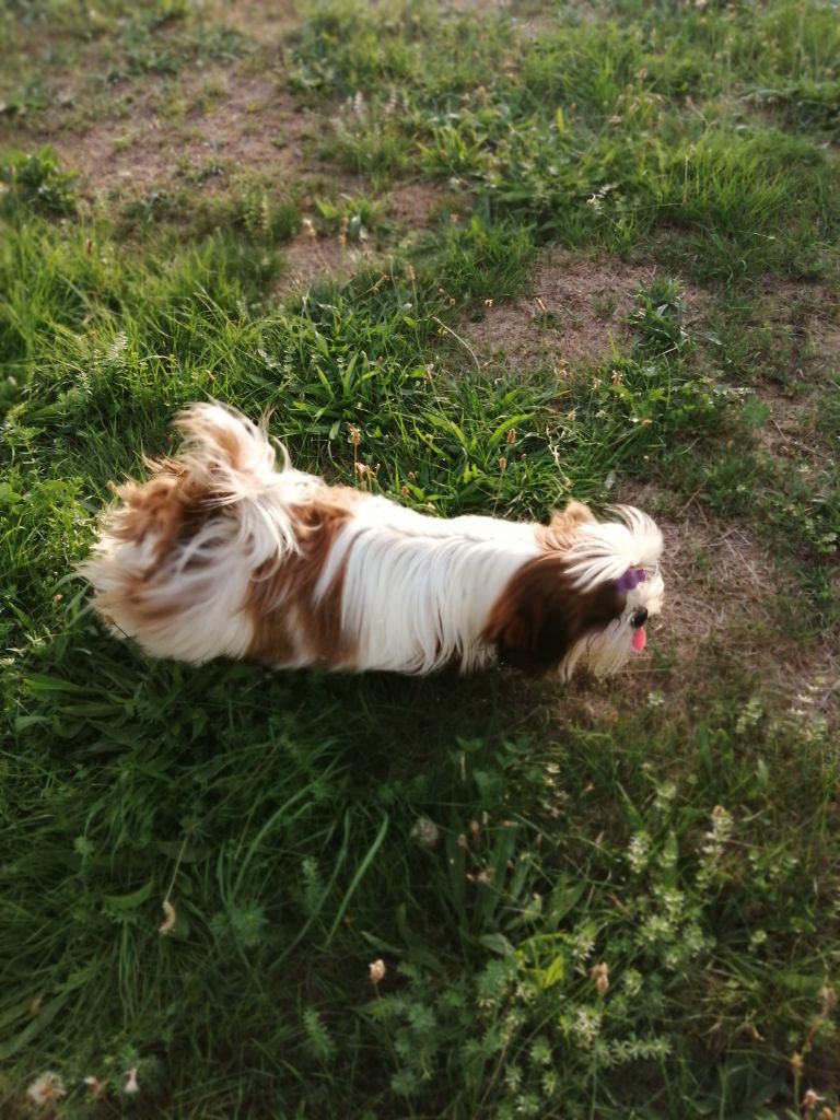 Publication : Du Royaume De Sacrés