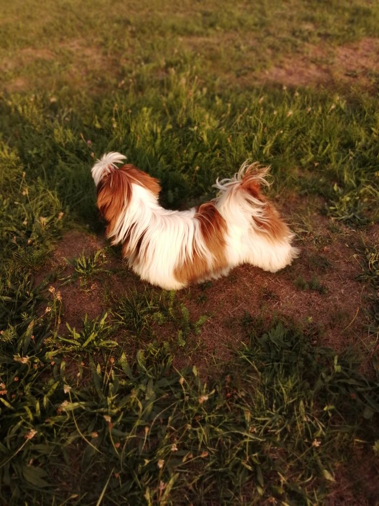 Publication : Du Royaume De Sacrés