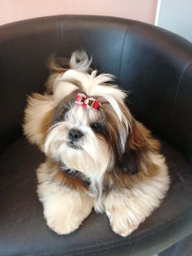 Publication : Du Royaume De Sacrés