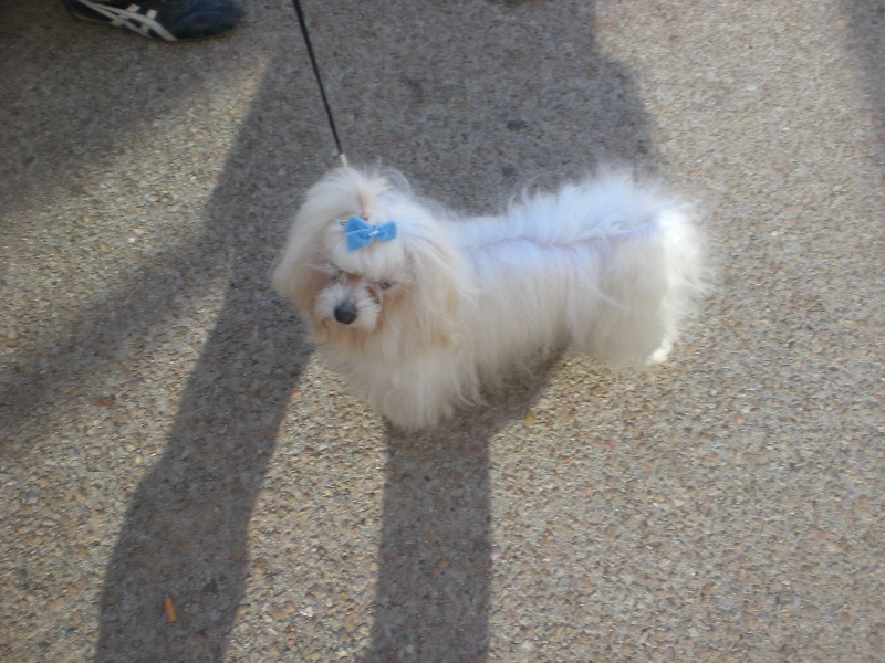 Publication : Du Royaume De Sacrés