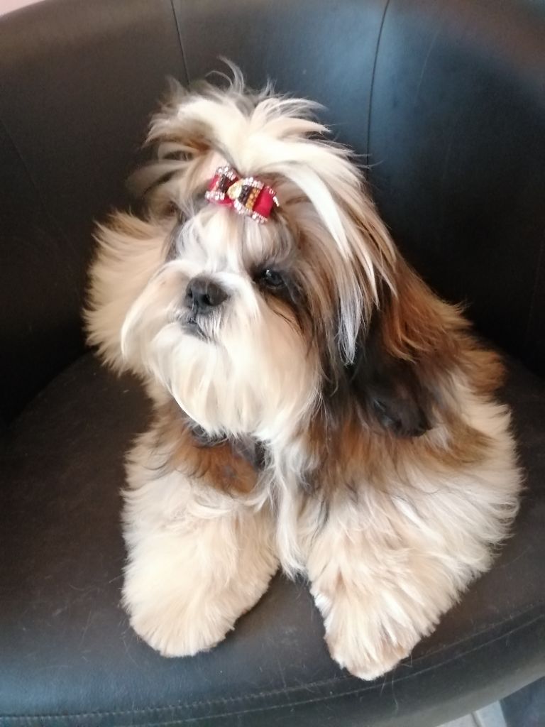 Publication : Du Royaume De Sacrés