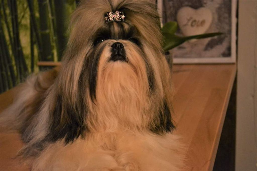 Publication : Du Royaume De Sacrés