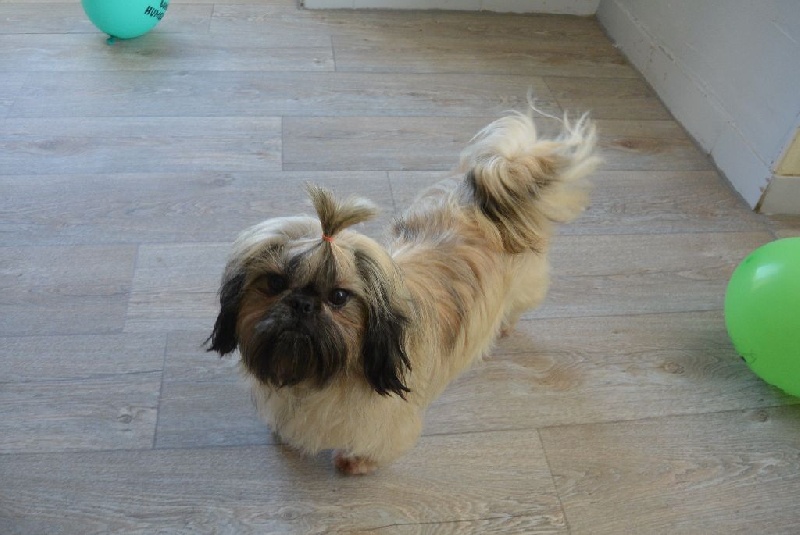 Publication : Du Royaume De Sacrés