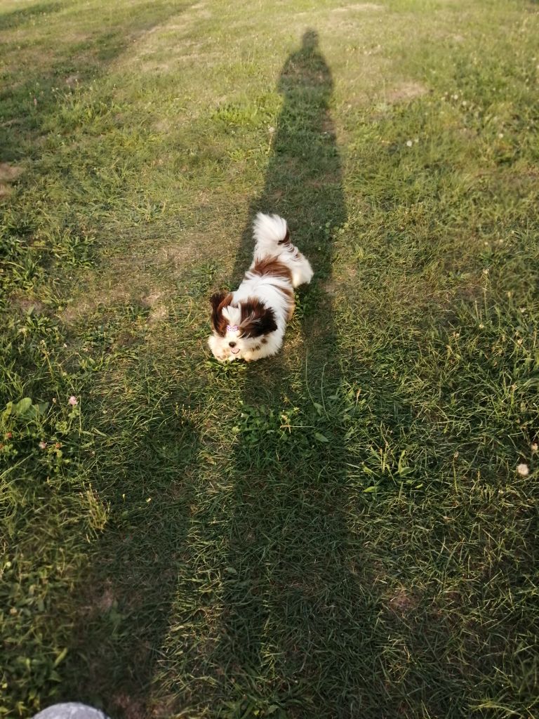 Publication : Du Royaume De Sacrés