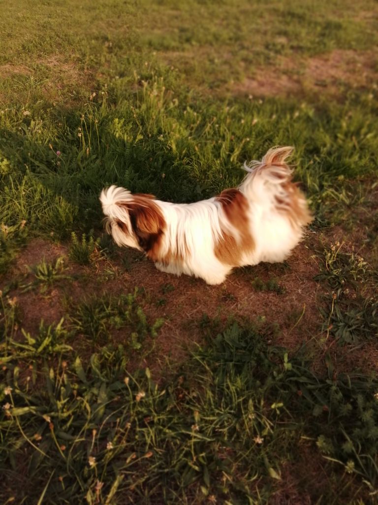 Publication : Du Royaume De Sacrés