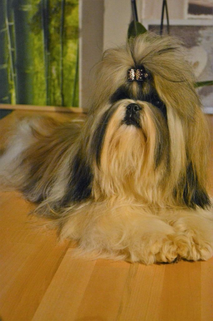 Publication : Du Royaume De Sacrés