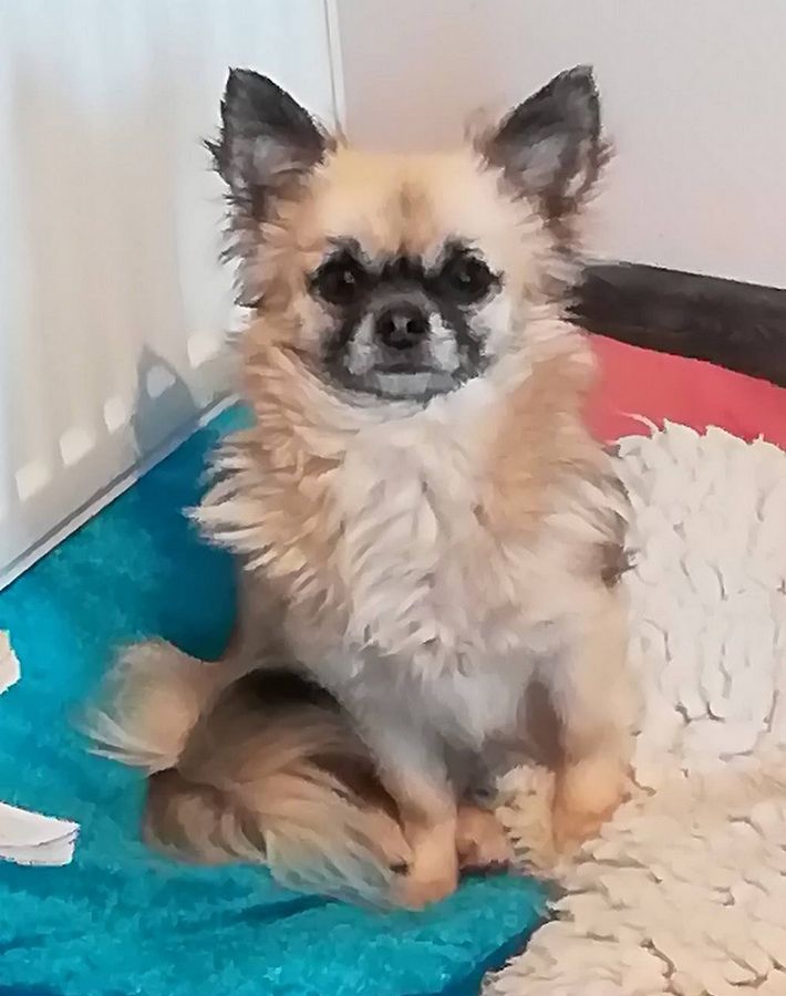 Publication : de la vallée des deux lacs Auteur : Dominique Moniot