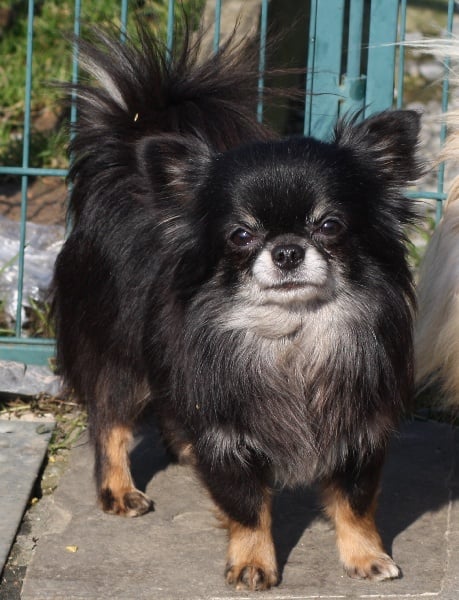 Publication : De l'echo de lanvaux