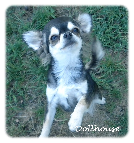 Publication : De l'echo de lanvaux