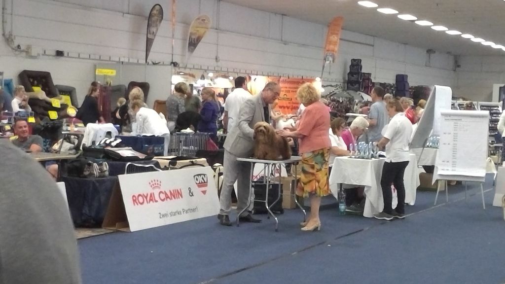 CH. Dance in step diabolo pedoro - 2ème exc. Classe champion. RCAC.