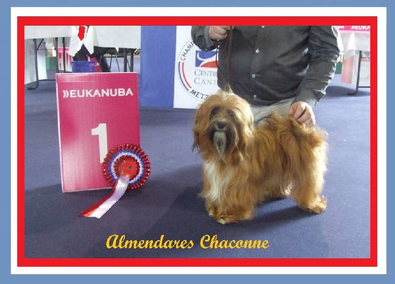 almendares Chaconne - 1ère exc. Classe intermédiaire.