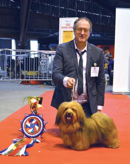 CH. Dance in step diabolo pedoro - 1er exc. Classe champion. BOB. Meilleur bichon 2018.