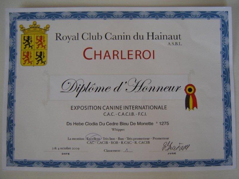 Ds hébé-clodia  dite kyo Du Cèdre Bleu De Monette