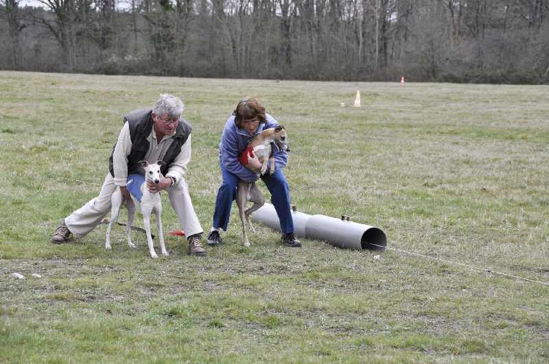 Bas-relief dit  bali Du Cèdre Bleu De Monette