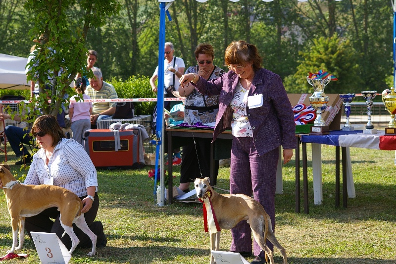 Bas-relief dit  bali Du Cèdre Bleu De Monette