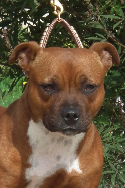 Publication : Sweetdemon's