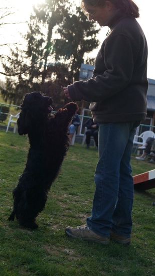 Publication : Du Paradis D'oliver