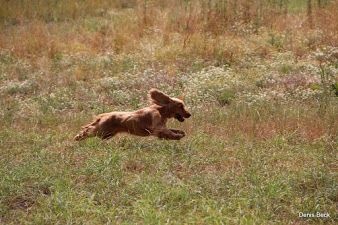 Holga Du Paradis D'oliver - ADMISE