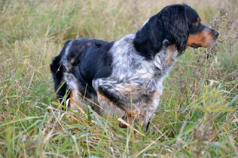 Publication : Du Grand Etricher Auteur : Mr BOULAY JB