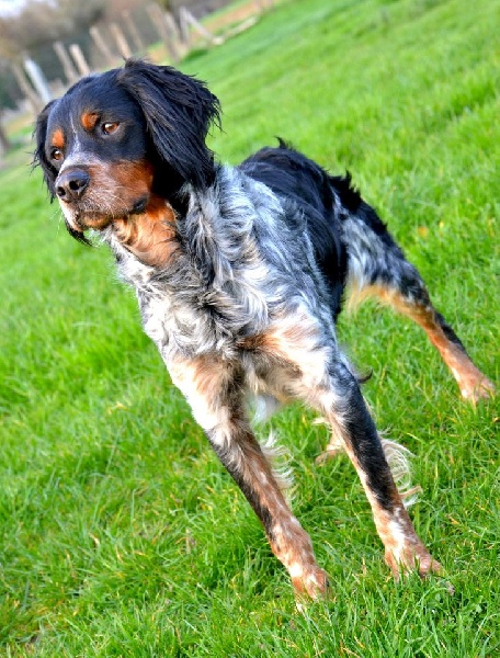 Publication : Du Grand Etricher Auteur : Mr BOULAY JB