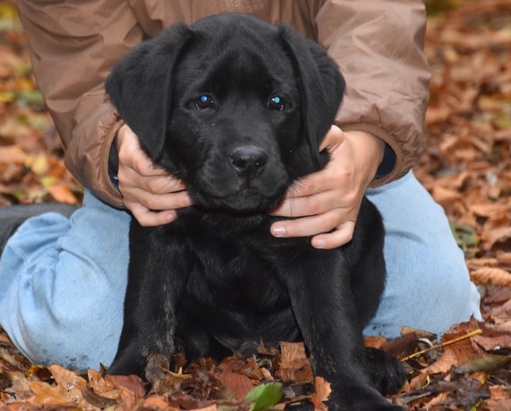 A...............DU GRAND ETRICHER