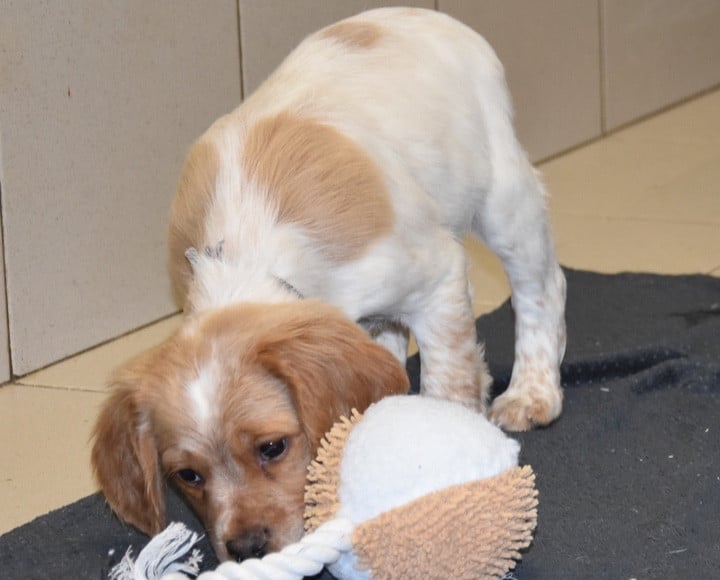 A................DU GRAND ETRICHER