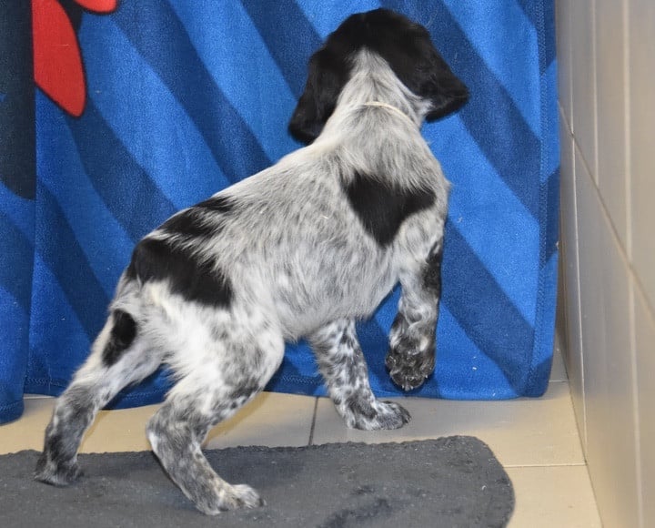 A...............DU GRAND ETRICHER