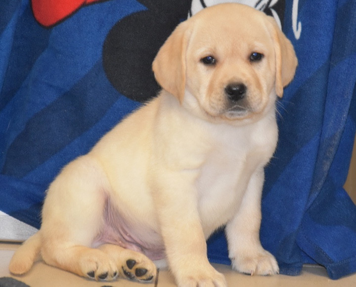 A..................DU GRAND ETRICHER