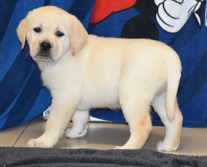 A..................DU GRAND ETRICHER