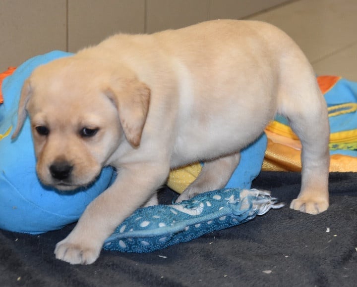 A....................DU GRAND ETRICHER