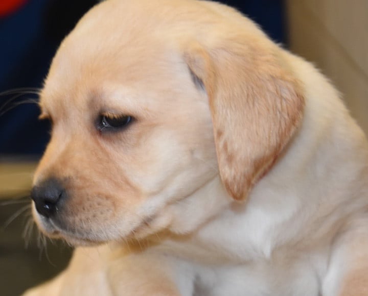 A....................DU GRAND ETRICHER