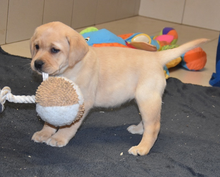 A...................DU GRAND ETRICHER