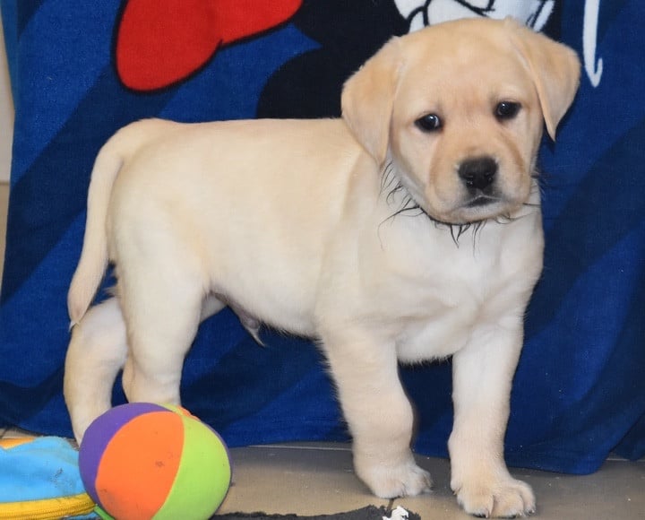 A.................... DU GRAND ETRICHER