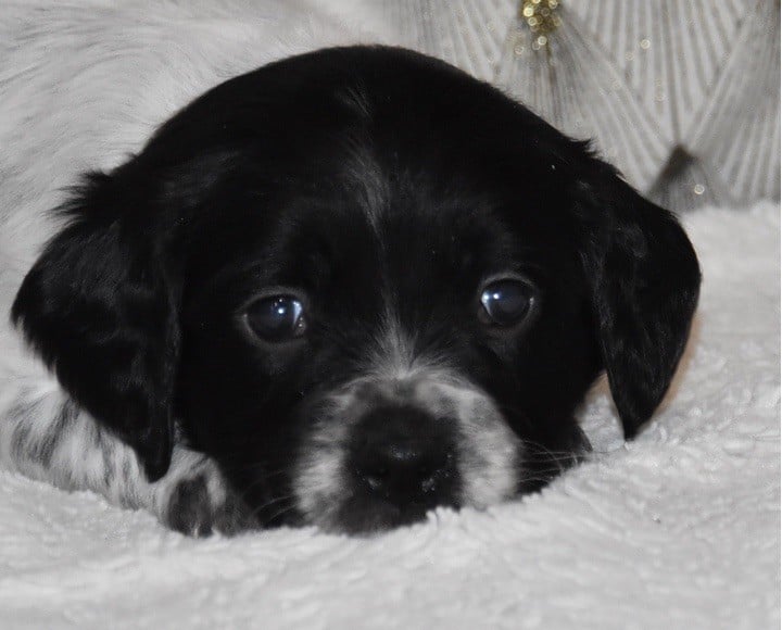 A................DU GRAND ETRICHER