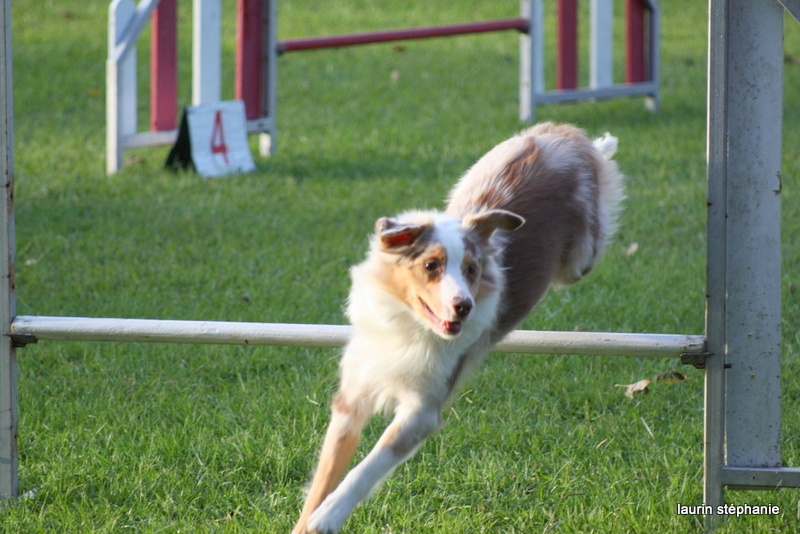 Publication : De L'Etoile De Saphir Auteur : LAURIN STEPHANIE