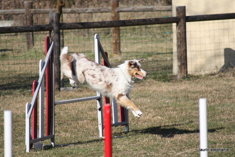 Publication : De L'Etoile De Saphir Auteur : LAURIN STEPHANIE