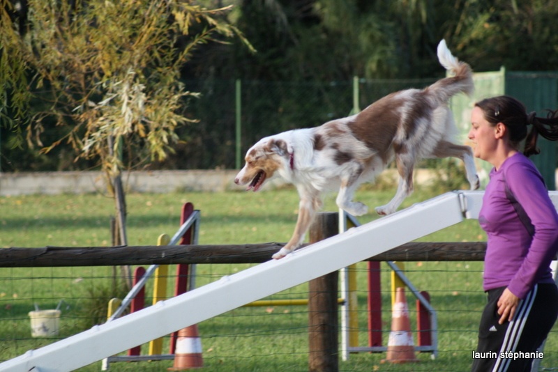 Publication : De L'Etoile De Saphir Auteur : LAURIN STEPHANIE