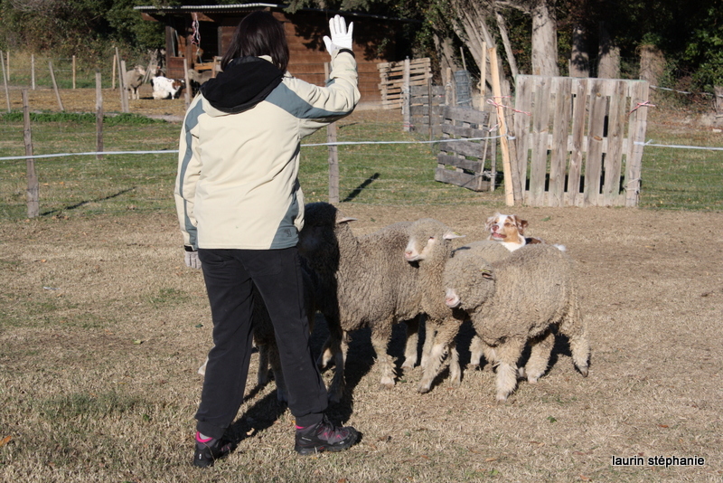 Publication : De L'Etoile De Saphir Auteur : LAURIN STEPHANIE