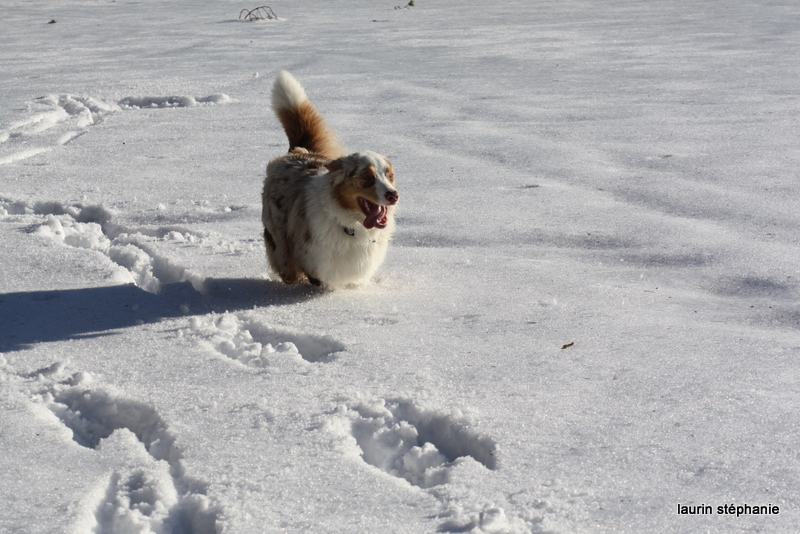 Publication : De L'Etoile De Saphir Auteur : LAURIN STEPHANIE