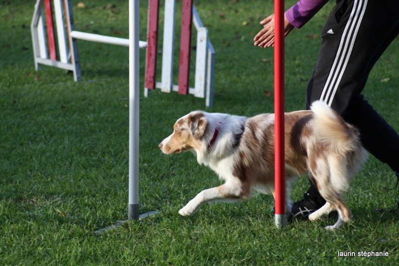 Publication : De L'Etoile De Saphir Auteur : LAURIN STEPHANIE