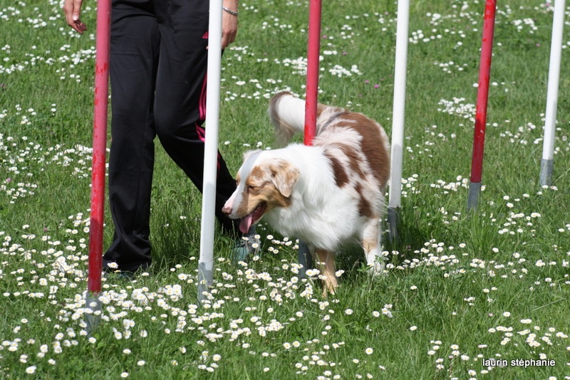 Publication : De L'Etoile De Saphir Auteur : LAURIN STEPHANIE