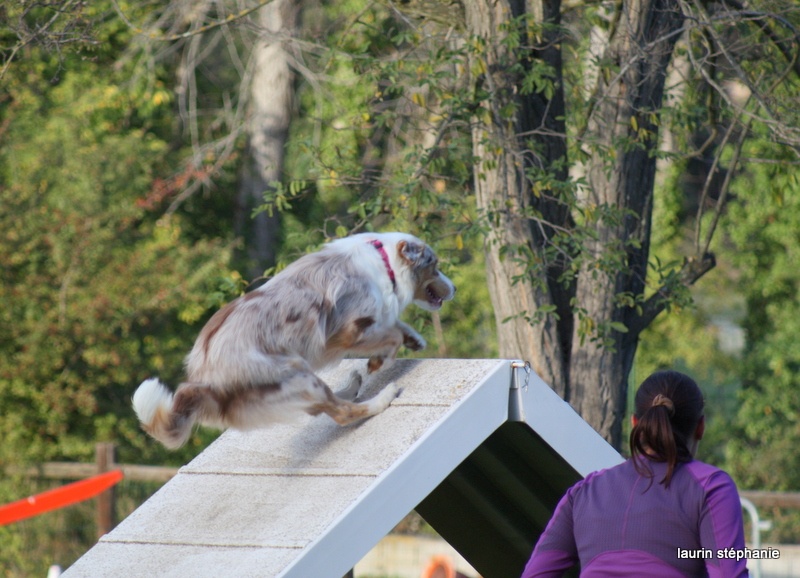 Publication : De L'Etoile De Saphir Auteur : LAURIN STEPHANIE