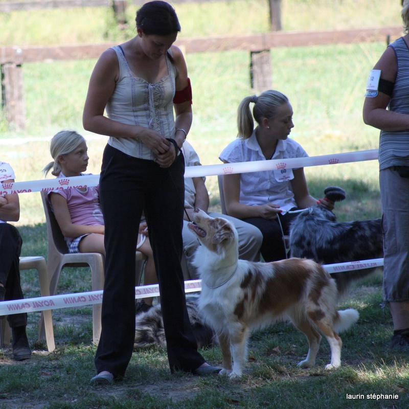 Gipsy lm presley des soupirs d'alizée - EXCELLENT intermédiaire