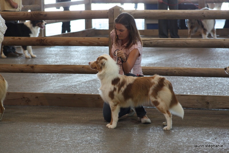 Gipsy lm presley des soupirs d'alizée - TRES PROMETTEUR
