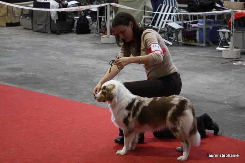 Gipsy lm presley des soupirs d'alizée - TRES BON
