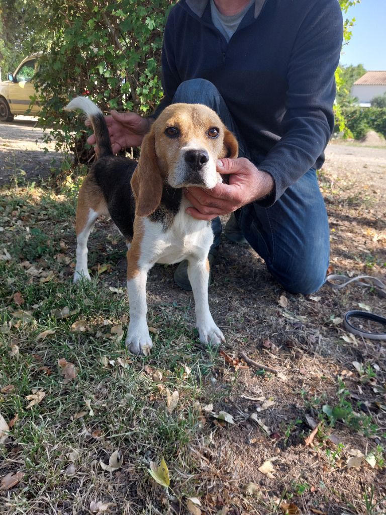 Publication : Des Echos Des Varrennes