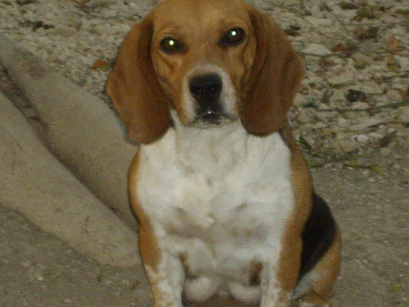 Publication : Des Echos Des Varrennes