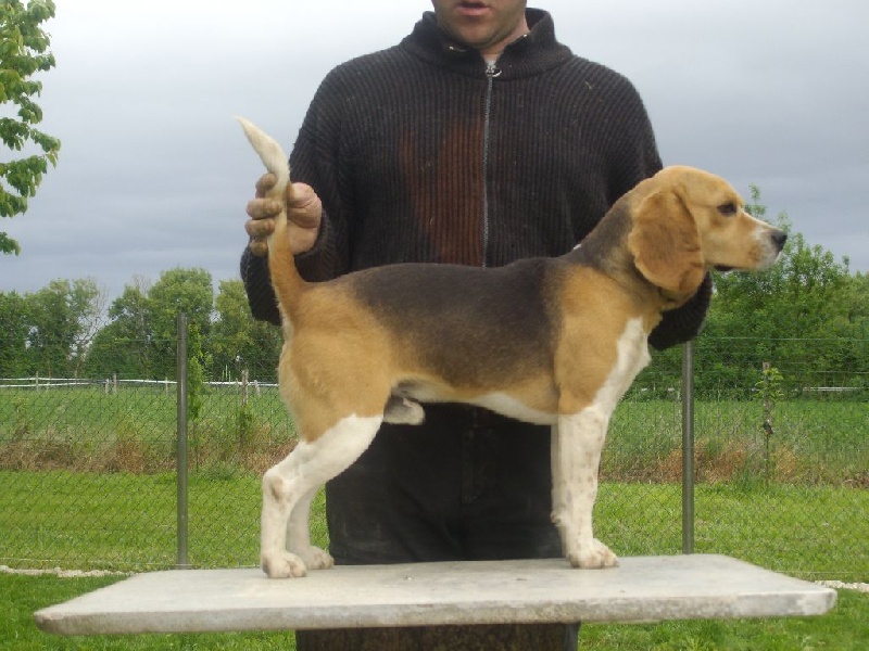 Publication : Des Echos Des Varrennes