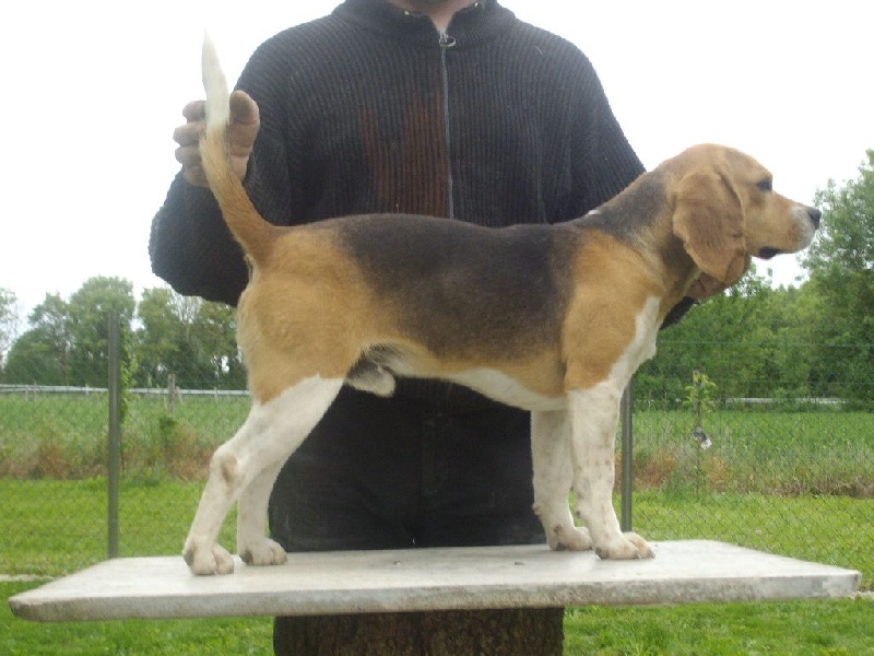 Publication : Des Echos Des Varrennes