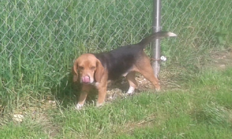 Publication : Des Echos Des Varrennes